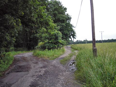 Foto 88